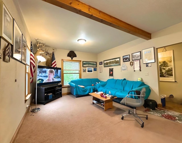 1340 Liberty St, Oshkosh, WI 54901 - living room featuring carpet flooring and beamed ceiling
