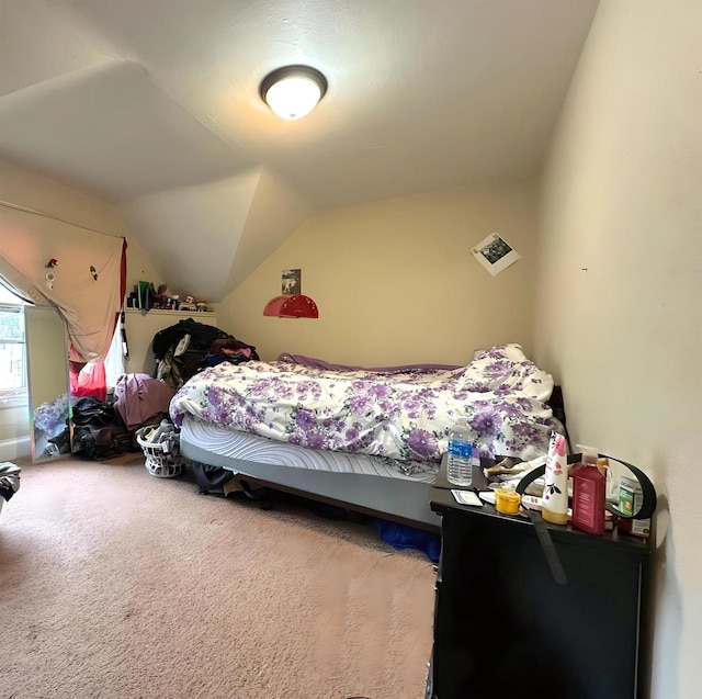 1340 Liberty St, Oshkosh, WI 54901 - carpeted bedroom with vaulted ceiling