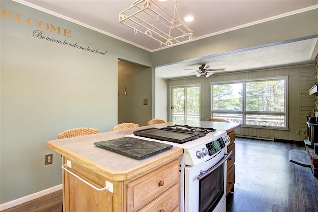 12272 Ewig Rd, Hayward, WI 54843 - kitchen with white gas stove, dark wood finished floors, baseboards, a kitchen island, and a ceiling fan