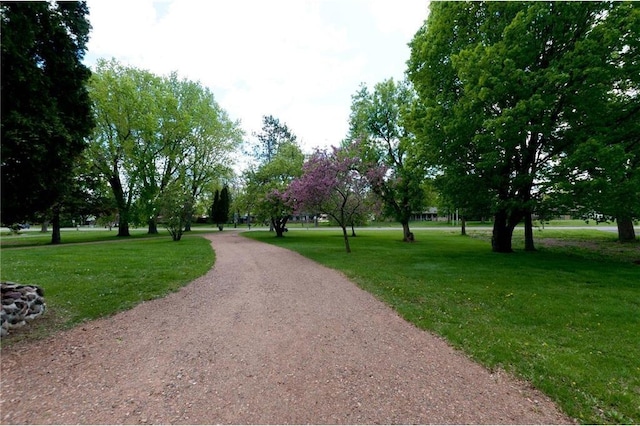 915 W Knapp St, Rice Lake, WI 54868 - view of property's community featuring a yard and driveway