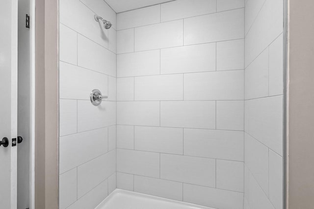 2407 Barbara Ave, Appleton, WI 54915 - bathroom with a tile shower