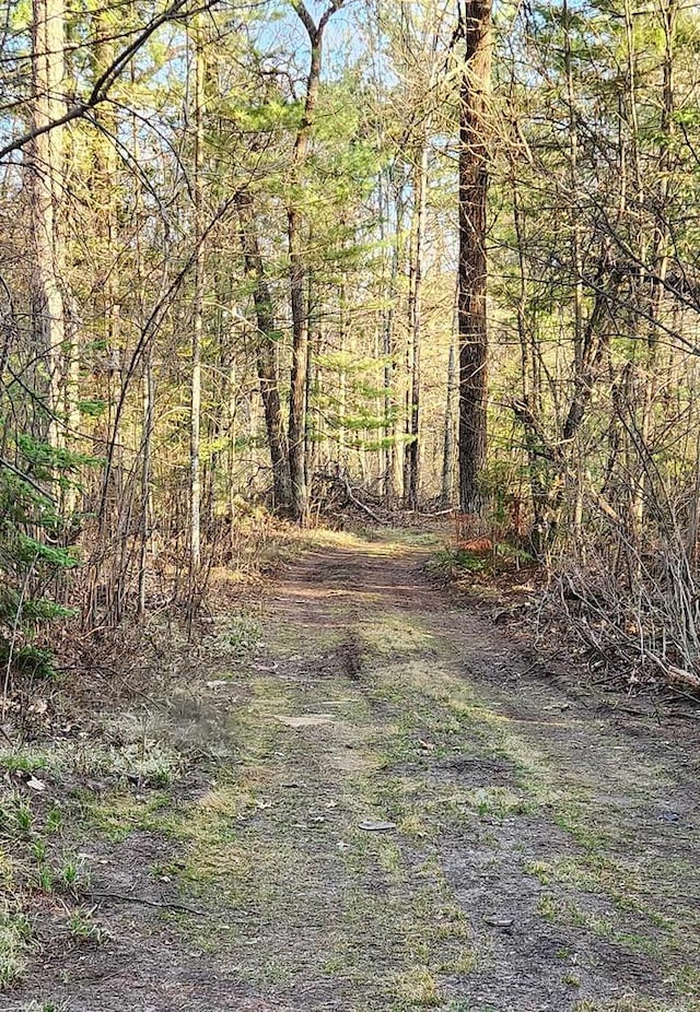 W8666 County Rd K, Elcho, WI 54428 - view of yard featuring a wooded view