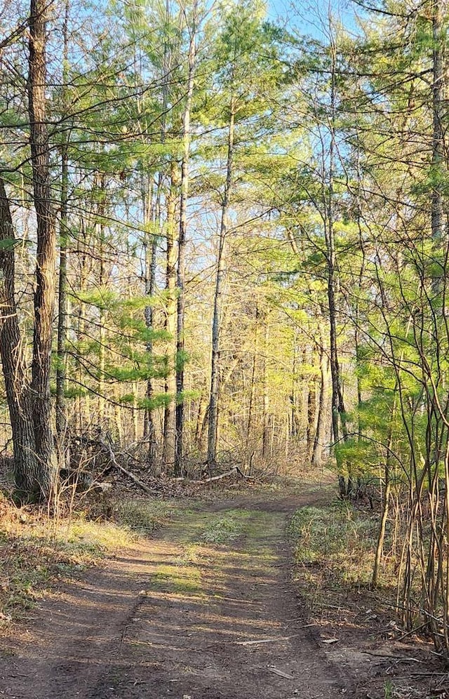W8666 County Rd K, Elcho, WI 54428 - view of street with a view of trees
