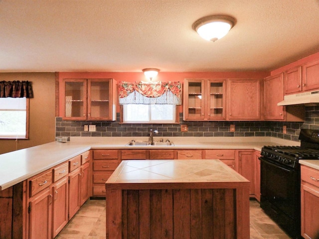 N11475 Post Lake Dr, Elcho, WI 54428 - kitchen with black gas stove, under cabinet range hood, plenty of natural light, and a sink