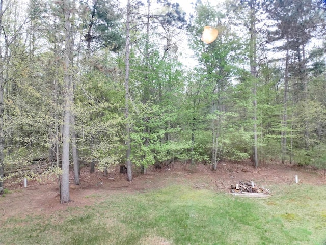 N11475 Post Lake Dr, Elcho, WI 54428 - view of yard featuring a view of trees
