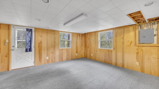 1007 Forest Hill Dr, Green Bay, WI 54311 - below grade area featuring electric panel, carpet floors, plenty of natural light, and wood walls