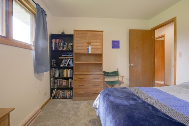 1349 93rd Ave, Kenosha, WI 53144 - view of carpeted bedroom