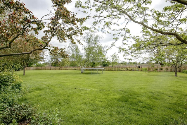 1349 93rd Ave, Kenosha, WI 53144 - view of yard featuring a trampoline