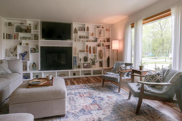 1349 93rd Ave, Kenosha, WI 53144 - living room with wood finished floors and a glass covered fireplace