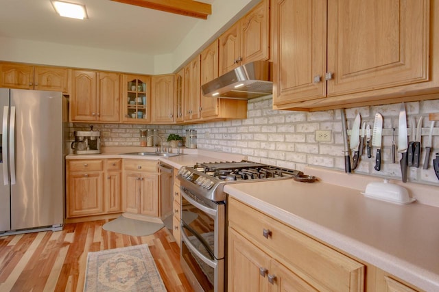 1349 93rd Ave, Kenosha, WI 53144 - kitchen featuring appliances with stainless steel finishes, under cabinet range hood, a sink, light countertops, and tasteful backsplash