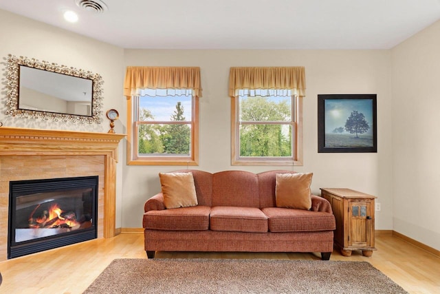 115 E Broadway Unit 210, Monona, WI 53716 - living room featuring wood finished floors, baseboards, and a glass covered fireplace