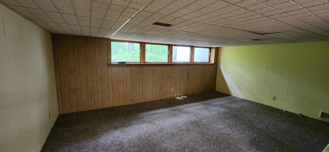3315 N 12th St, Wausau, WI 54403 - basement with carpet flooring, concrete block wall, and wood walls