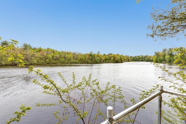 N7119 River Dr, Shawano, WI 54166 - water view featuring a forest