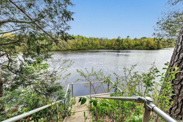 N7119 River Dr, Shawano, WI 54166 - water view featuring a heavily wooded area