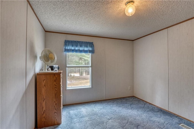 13848 Sabin Rd, Hayward, WI 54843 - unfurnished room featuring carpet flooring, ornamental molding, and a textured ceiling