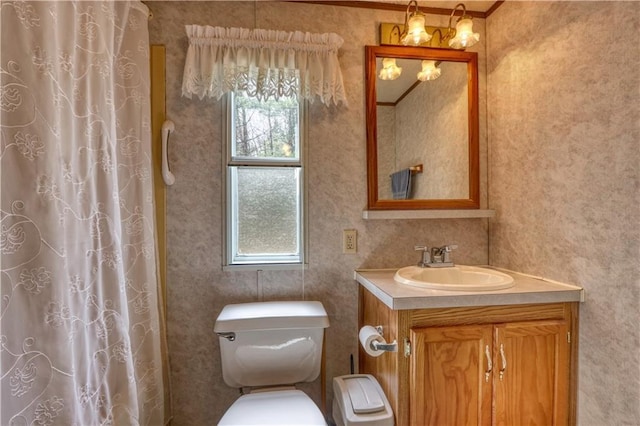 13848 Sabin Rd, Hayward, WI 54843 - bathroom featuring vanity, toilet, and a shower with shower curtain