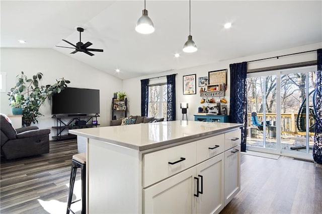 118 Dunn St, Colfax, WI 54730 - kitchen featuring open floor plan, vaulted ceiling, dark wood-style floors, ceiling fan, and pendant lighting