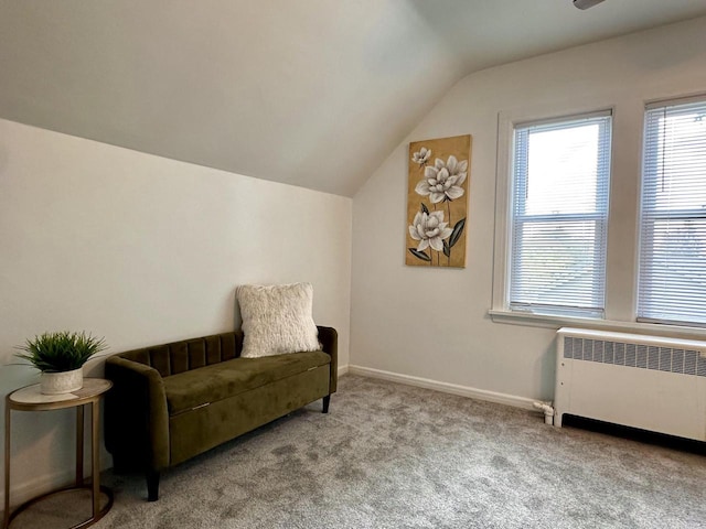 4416 75th St, Kenosha, WI 53142 - sitting room with radiator heating unit, lofted ceiling, carpet floors, and baseboards