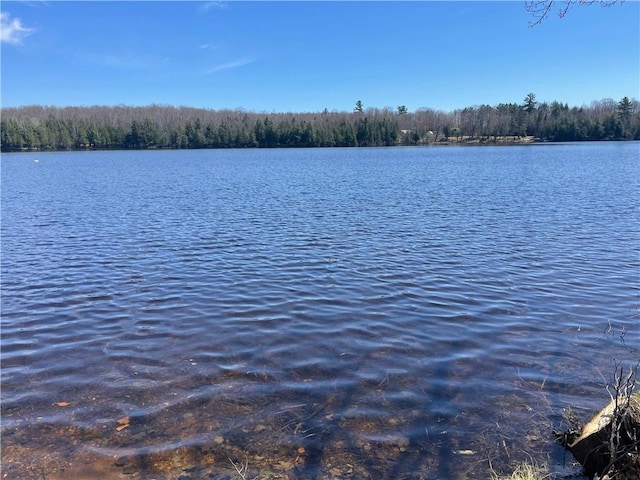 23165 Joy Villa Rd Unit 6, Glidden, WI 54527 - water view with a forest