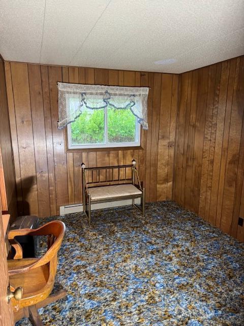 W6782 Marine Dr, Markesan, WI 53946 - sitting room with wooden walls and carpet floors