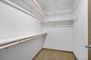 412 Emerald Ct, Kewaskum, WI 53040 - spacious closet with carpet flooring
