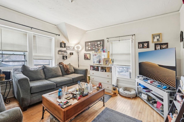 2202 N 55th St, Milwaukee, WI 53208 - living area featuring wood-type flooring and vaulted ceiling