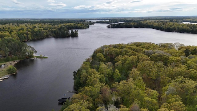 12711 Wind Point Rd, Manitowish Waters, WI 54545 - bird's eye view of a forest and a large body of water