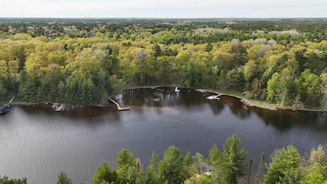 12711 Wind Point Rd, Manitowish Waters, WI 54545 - aerial view of property's location with a forest and a nearby body of water