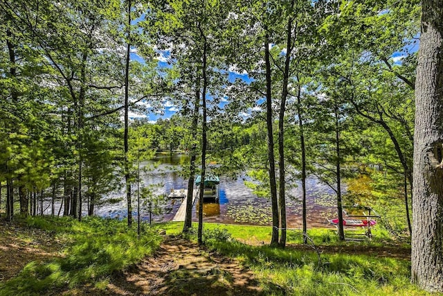 12711 Wind Point Rd, Manitowish Waters, WI 54545 - water view featuring a boat dock