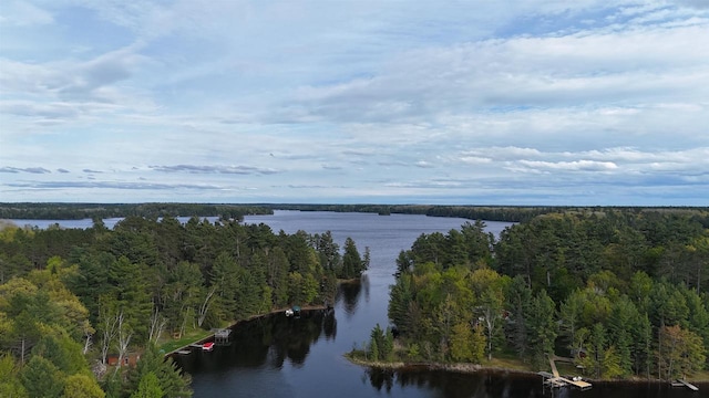 12711 Wind Point Rd, Manitowish Waters, WI 54545 - water view featuring a heavily wooded area