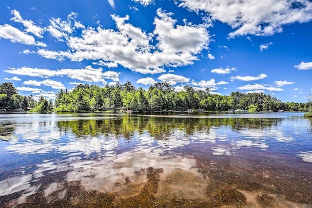 12711 Wind Point Rd, Manitowish Waters, WI 54545 - water view featuring a forest