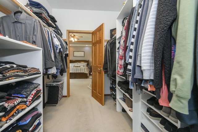 W360S9910 Markham Rd, Eagle, WI 53119 - walk in closet with light colored carpet and a ceiling fan