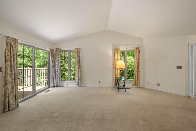 500 S Edwards Blvd Unit 1, Lake Geneva, WI 53147 - carpeted empty room featuring plenty of natural light, lofted ceiling, and baseboards