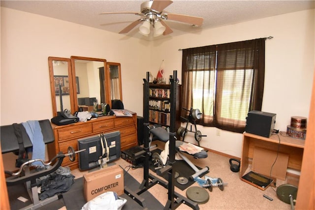 101 Baileyville Ct, Knapp, WI 54749 - workout room with ceiling fan and carpet