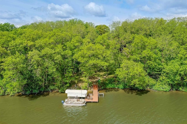 2511 S Natures Ridge Rd, Beloit, WI 53511 - drone / aerial view of a forest and a nearby body of water