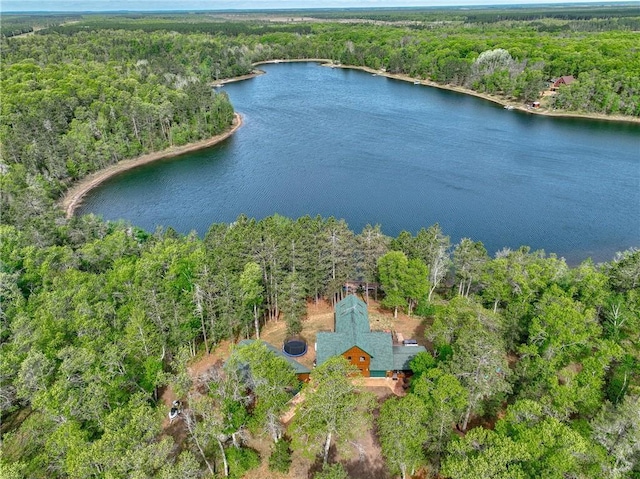 3844 State Road 77, Danbury, WI 54830 - bird's eye view of a heavily wooded area and a large body of water