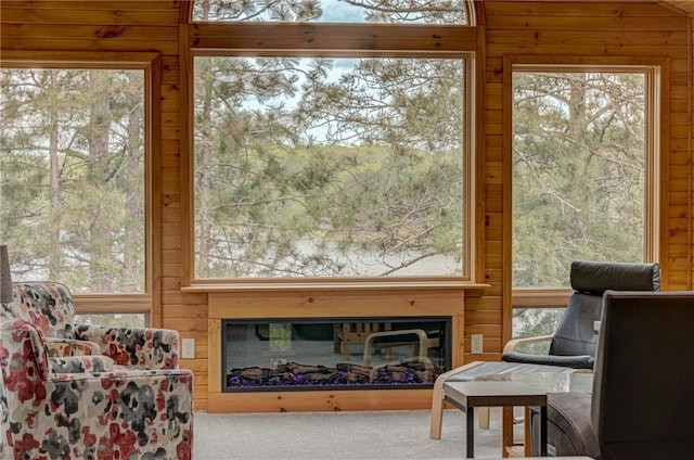 3844 State Road 77, Danbury, WI 54830 - living area featuring wood walls, carpet flooring, and a glass covered fireplace