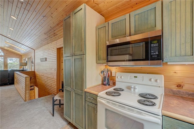 3844 State Road 77, Danbury, WI 54830 - kitchen with white electric range, stainless steel microwave, wood ceiling, lofted ceiling, and green cabinets