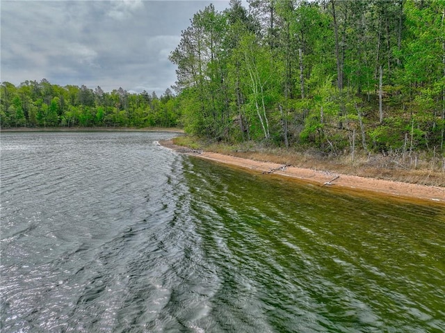 3844 State Road 77, Danbury, WI 54830 - water view with a heavily wooded area