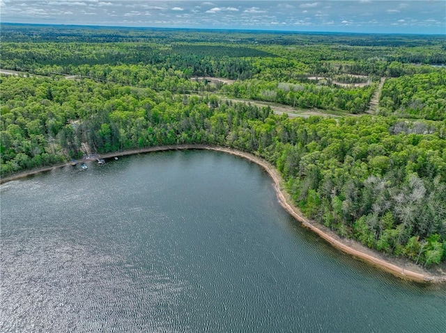3844 State Road 77, Danbury, WI 54830 - aerial view of property's location featuring a forest and a large body of water