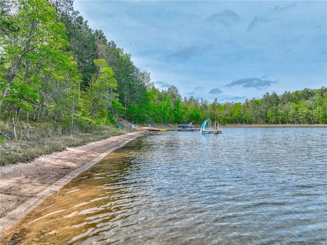 3844 State Road 77, Danbury, WI 54830 - water view featuring a boat dock and a forest