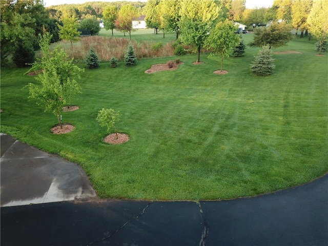 N1816 950th St, Eau Claire, WI 54701 - view of green lawn