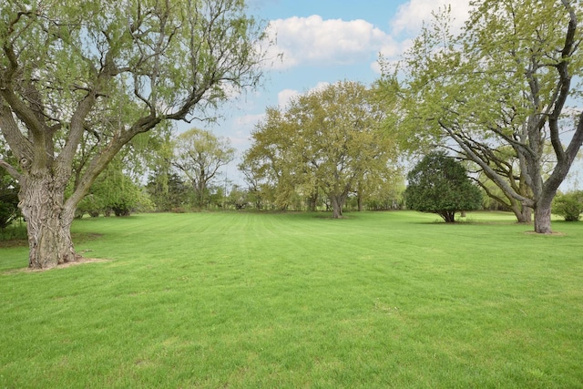 1429 W River Oaks Ln, Mequon, WI 53092 - view of green lawn