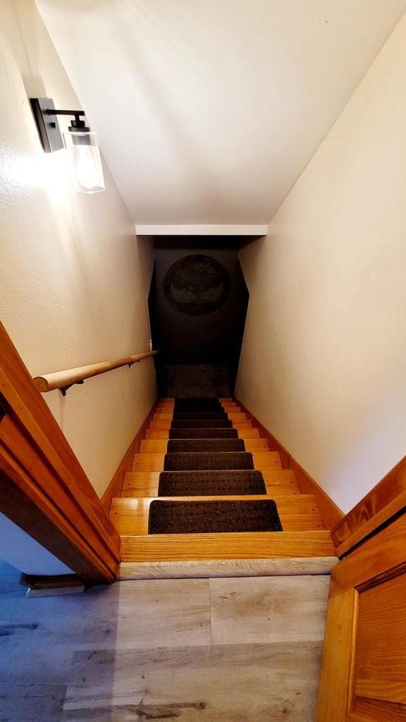 610 Fox Ridge Ct, Nekoosa, WI 54457 - stairway featuring wood finished floors