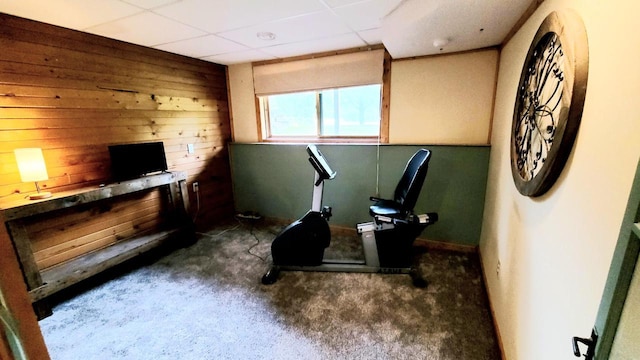 610 Fox Ridge Ct, Nekoosa, WI 54457 - workout area with wooden walls, dark carpet, and a drop ceiling
