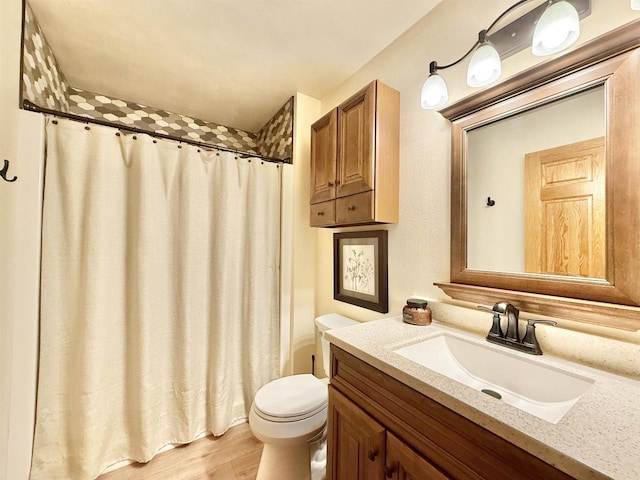 2728 E Ridge Rd, Beloit, WI 53511 - full bathroom with toilet, vanity, wood finished floors, and a shower with shower curtain