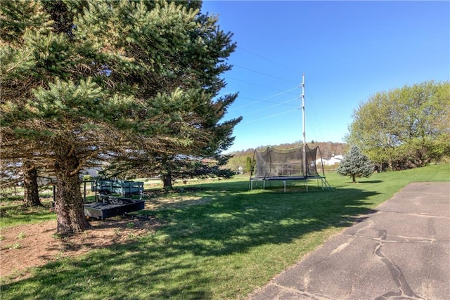 N4907 572nd St, Menomonie, WI 54751 - view of green lawn featuring a trampoline