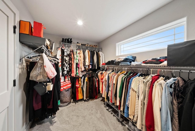 788 Kohlwey Dr, Grafton, WI 53024 - spacious closet with carpet flooring