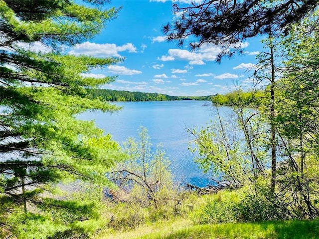 W6974 Bankers Dr, Minong, WI 54859 - water view with a heavily wooded area