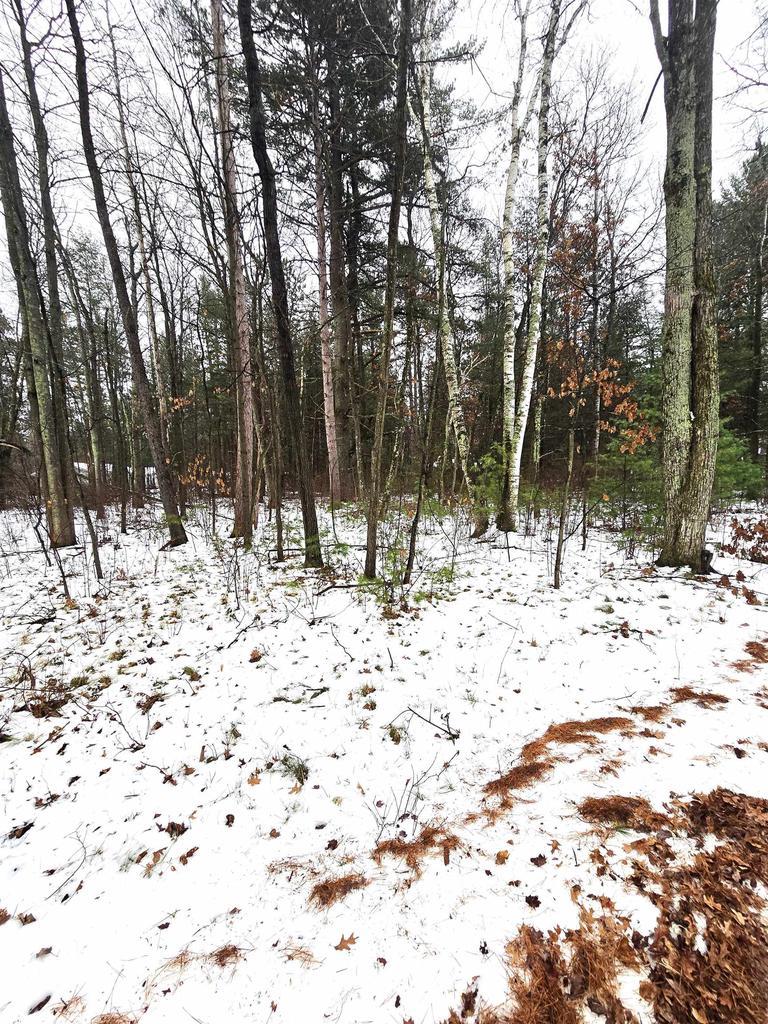 LOTS2 Kaufman Rd, Tomahawk, WI 54487